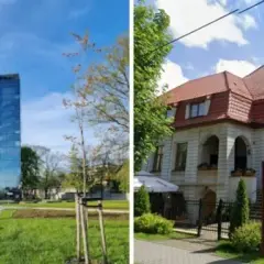 Najlepsze restauracje w Zabrzu: przewodnik po smakach miasta
